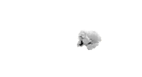Film Ca